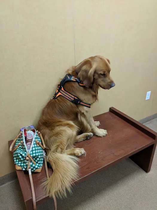 Alpine Animal Clinic Picture 7