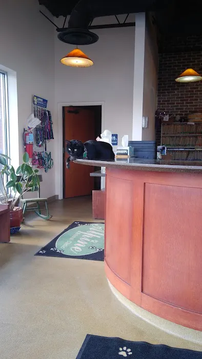 Alpine Animal Clinic Picture 10