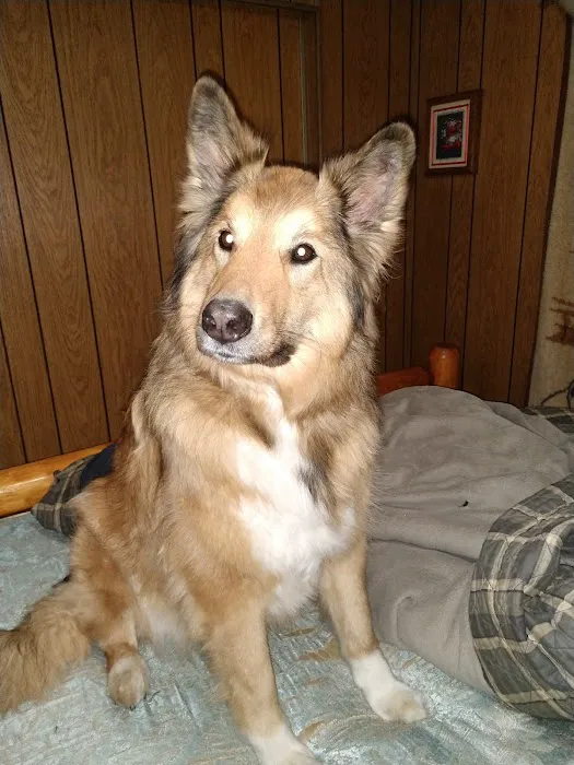 Sunbury Animal Hospital Picture 10