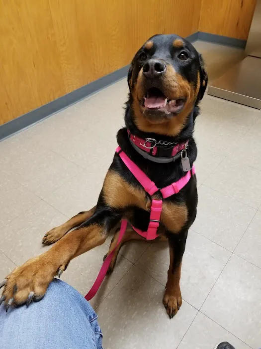 Susquehanna Trail Animal Hospital Picture 2