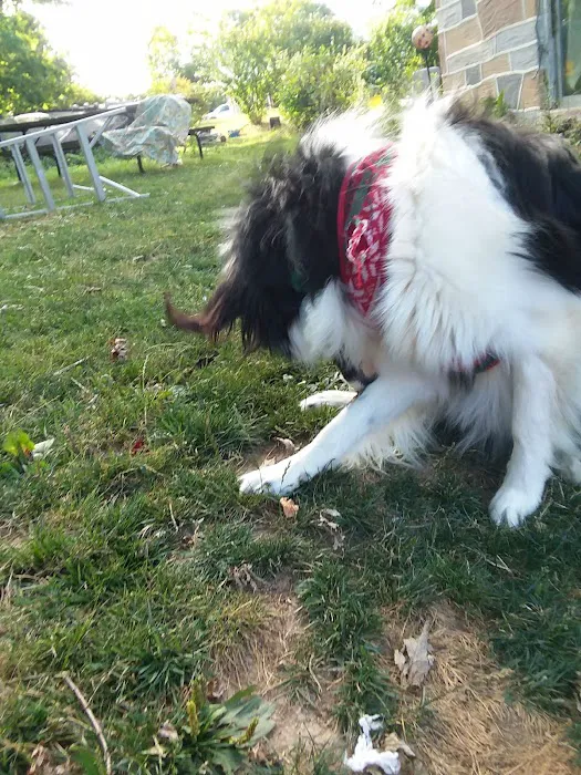 Susquehanna Trail Animal Hospital Picture 9