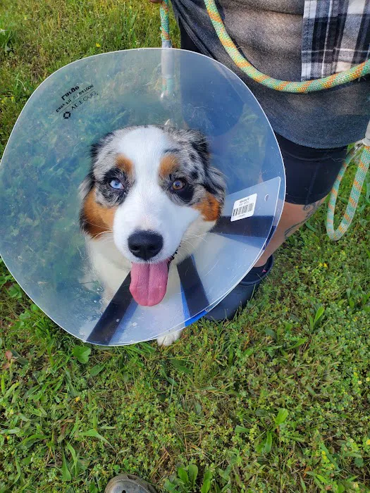 Susquehanna Trail Animal Hospital Picture 10