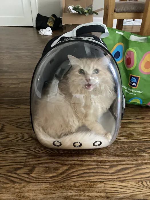 Animal Emergency Center Picture 10