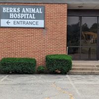 Berks Animal Hospital North ico