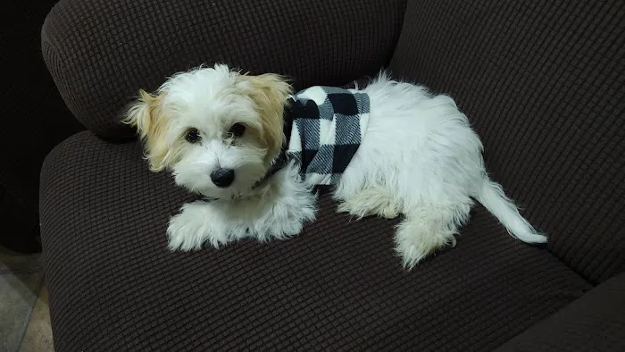 Leesport Animal Hospital Picture 4
