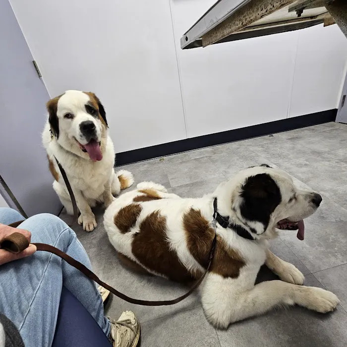 Willow Creek Veterinary Center Picture 6