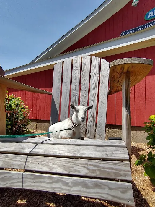 Willow Creek Veterinary Center Picture 10