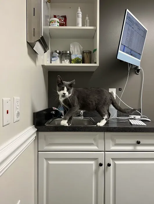 Fishtown Animal Hospital Picture 3