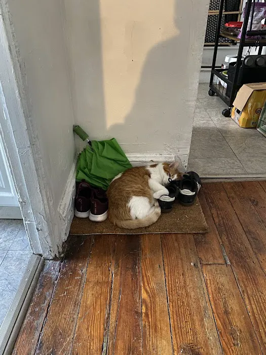 Fishtown Animal Hospital Picture 1