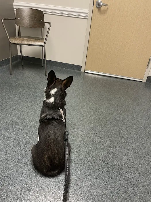 Fishtown Animal Hospital Picture 6