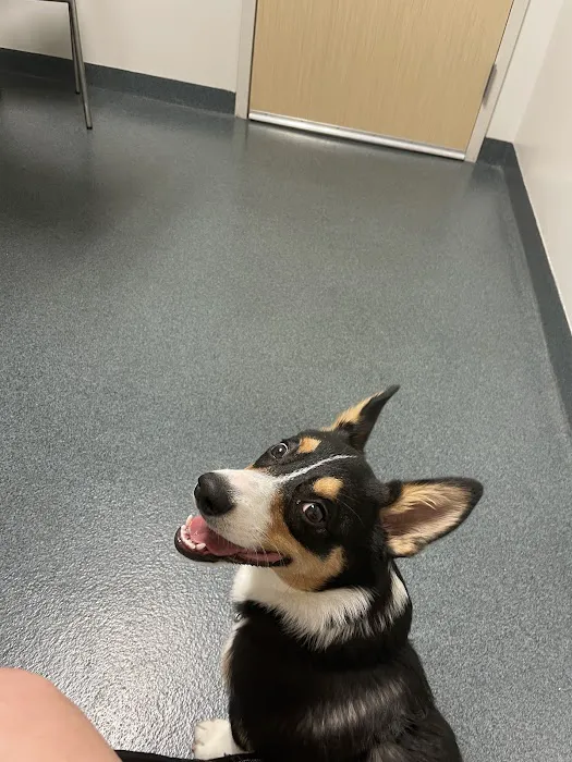 Fishtown Animal Hospital Picture 10
