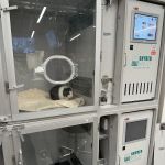 Veterinary Emergency Group