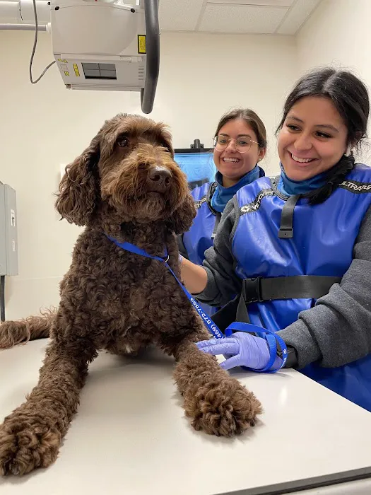 Veterinary Emergency Group Picture 5