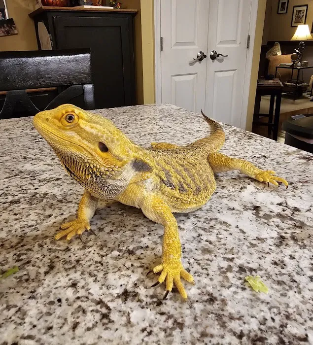 2nd Street Animal Hospital & Exotic Clinic Picture 9