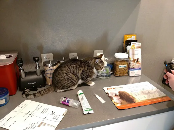 Northern Liberties Veterinary Center Picture 2