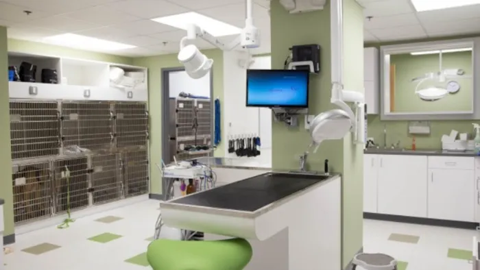 Northern Liberties Veterinary Center Picture 8