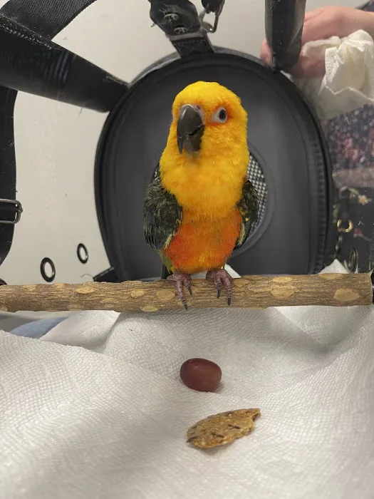 Avian & Exotic Philly Vet Medical Surgical Clinic Picture 1