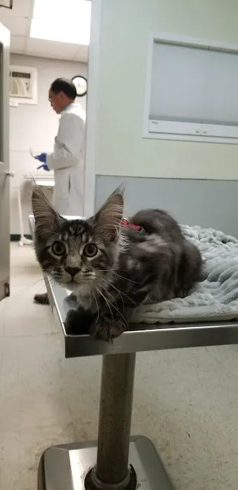Broad Street Animal Hospital Picture 4