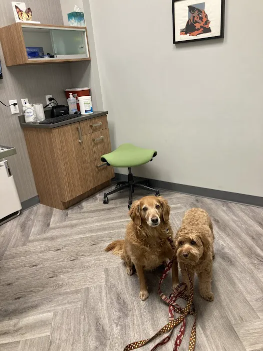 Art Museum Veterinary Center Picture 2