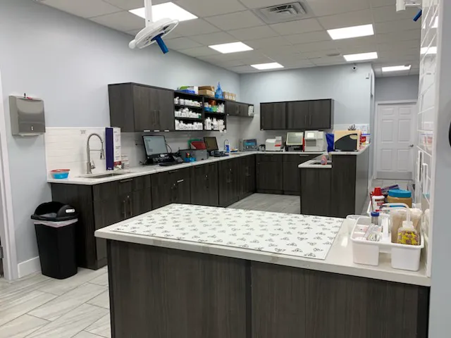 Animals First + Veterinary Hospital & Urgent Care Picture 7