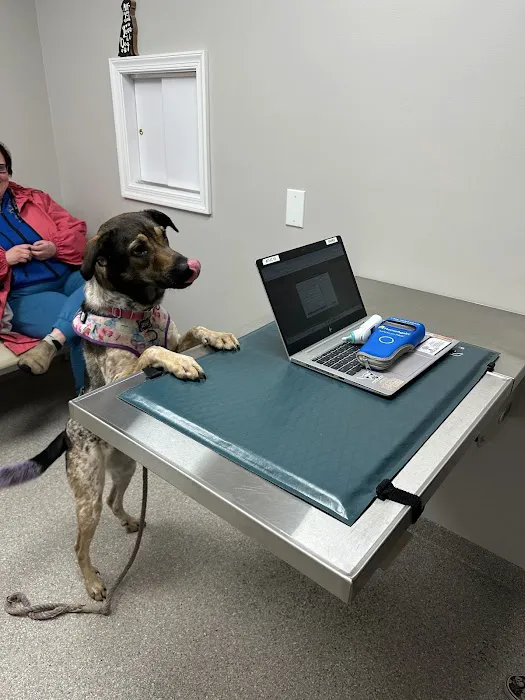 Audubon Family Veterinary Center Picture 5