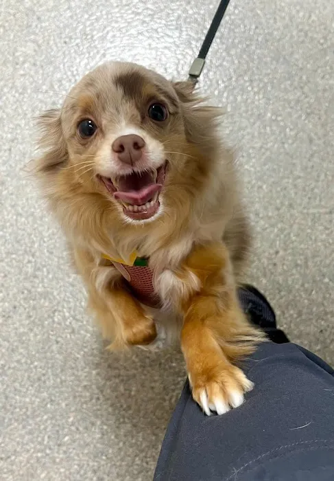 Audubon Family Veterinary Center Picture 9