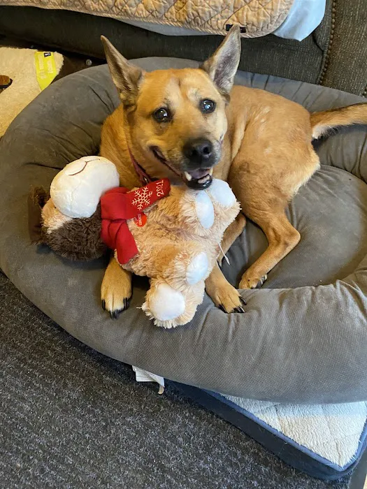 VCA Winslow Animal Hospital Picture 2