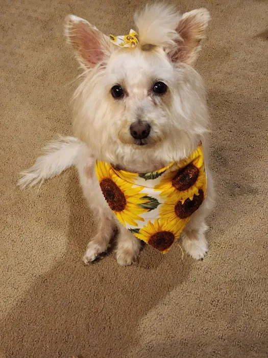 VCA Winslow Animal Hospital Picture 4