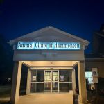 Animal Clinic of Hammonton