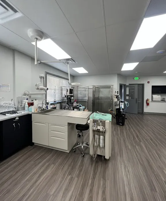 Animal Clinic of Hammonton Picture 5