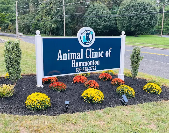 Animal Clinic of Hammonton Picture 9
