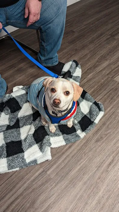 Animal Clinic of Hammonton Picture 8