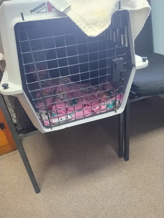 Mays Landing Veterinary Hospital, LLC Picture 10