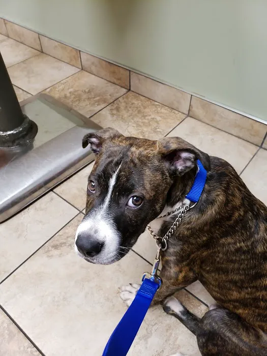 Cross Keys Animal Hospital Picture 4