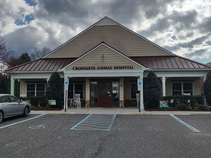 Cross Keys Animal Hospital Picture 5