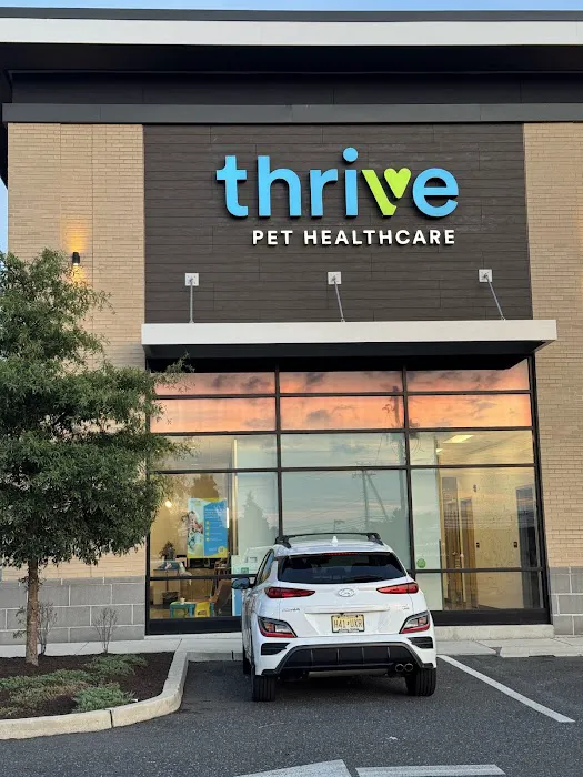 Thrive Pet Healthcare - Sicklerville Picture 2