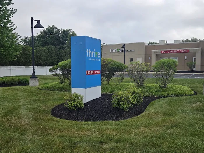 Thrive Pet Healthcare Urgent Care - Turnersville Picture 1