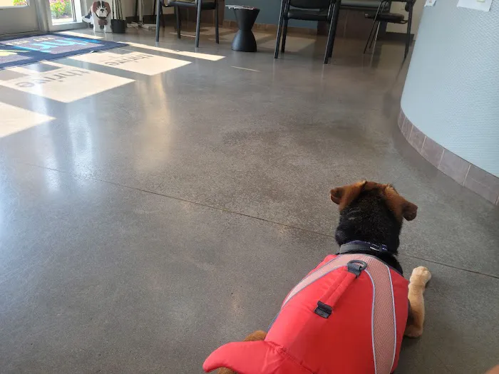 Thrive Pet Healthcare Urgent Care - Turnersville Picture 6
