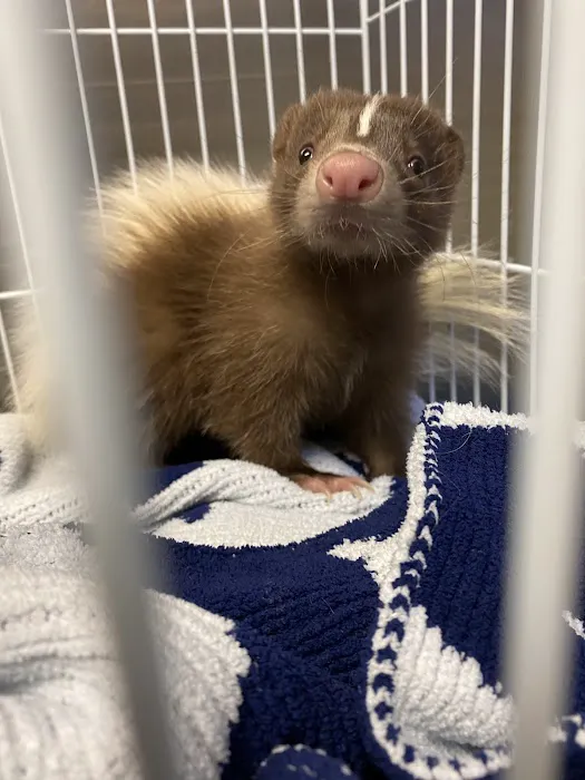 All Creatures Veterinary Care Center Picture 5