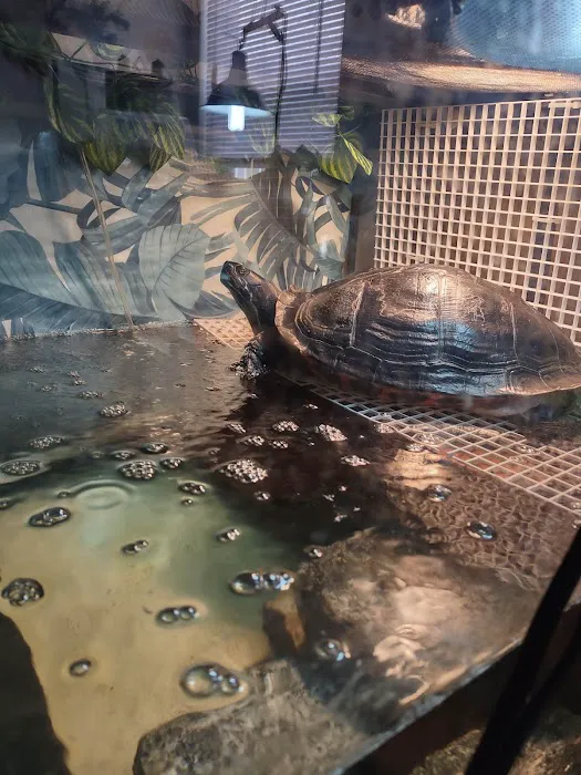 All Creatures Veterinary Care Center Picture 6