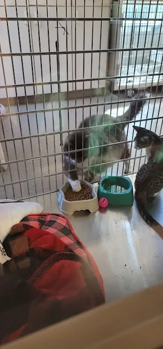 Blackwood Animal Hospital Picture 3