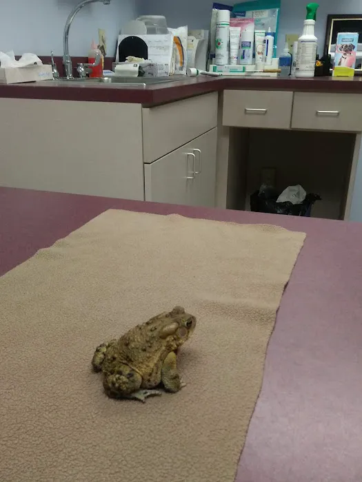 Blackwood Animal Hospital Picture 7