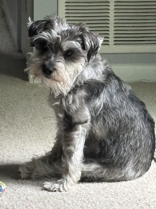 Haddon Vet, LLC Picture 5