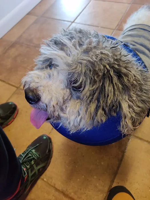 Haddon Vet, LLC Picture 4