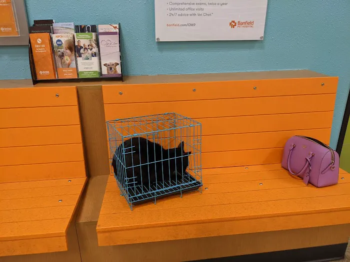 Banfield Pet Hospital Picture 9