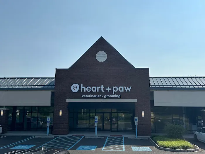 Heart + Paw Picture 3