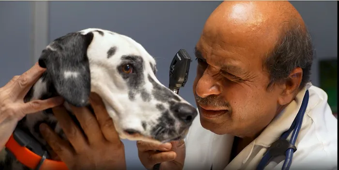 Compassion Veterinary Clinic Picture 10