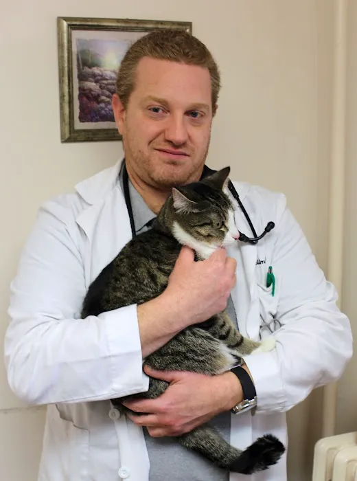 Chestnut Hill Cat Clinic Picture 9