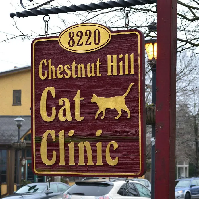 Chestnut Hill Cat Clinic Picture 7