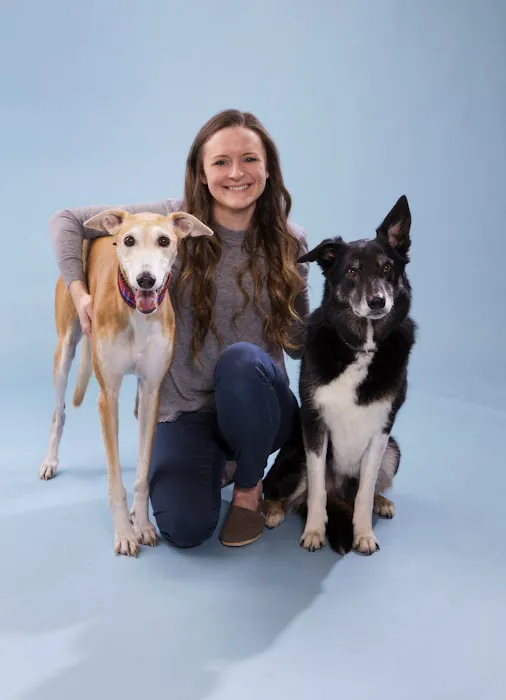 Limerick Veterinary Hospital Picture 9